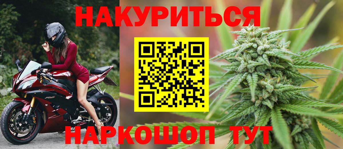 Бошки Шишки ГИДРОПОН Дивногорск